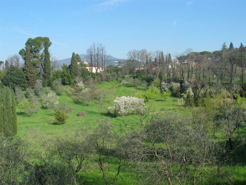 פירנצה Villa Ulivi מראה חיצוני תמונה